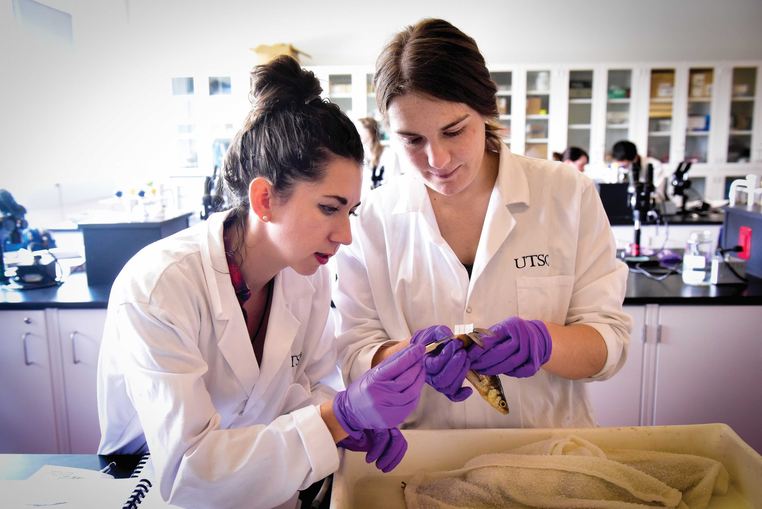 Two students in lab coats and purple gloves examining an item in one  their hands