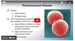 screenshot of webinar video. Slide outlines who pneumococcal disease affects, next to a picture of the disease.