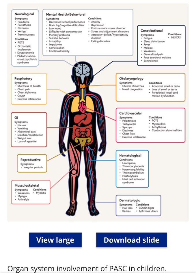 diagram of organ system involvement of PASC in children